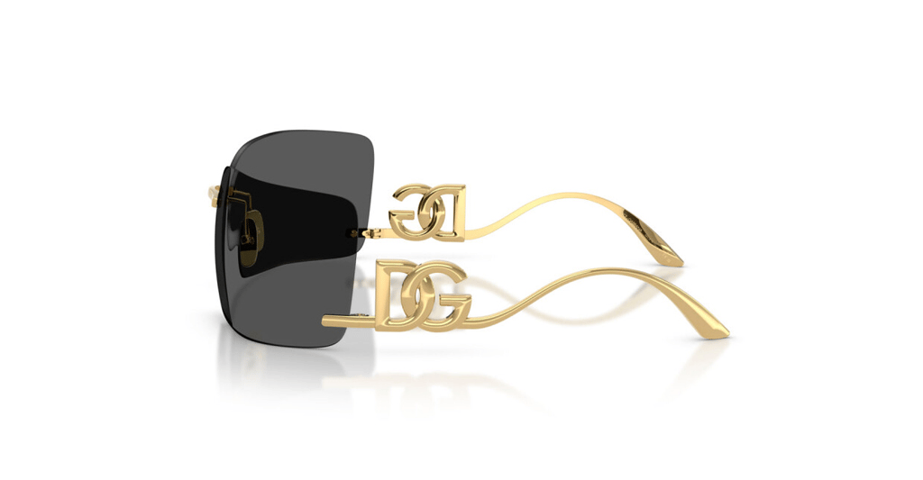 DOLCE & GABBANA 0DG2319 02/87 79