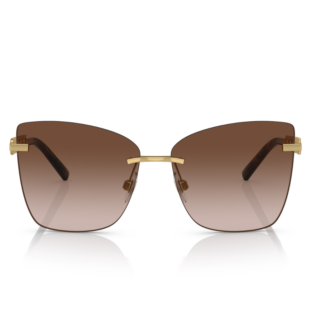 DOLCE & GABBANA DG 2289 02/13 59