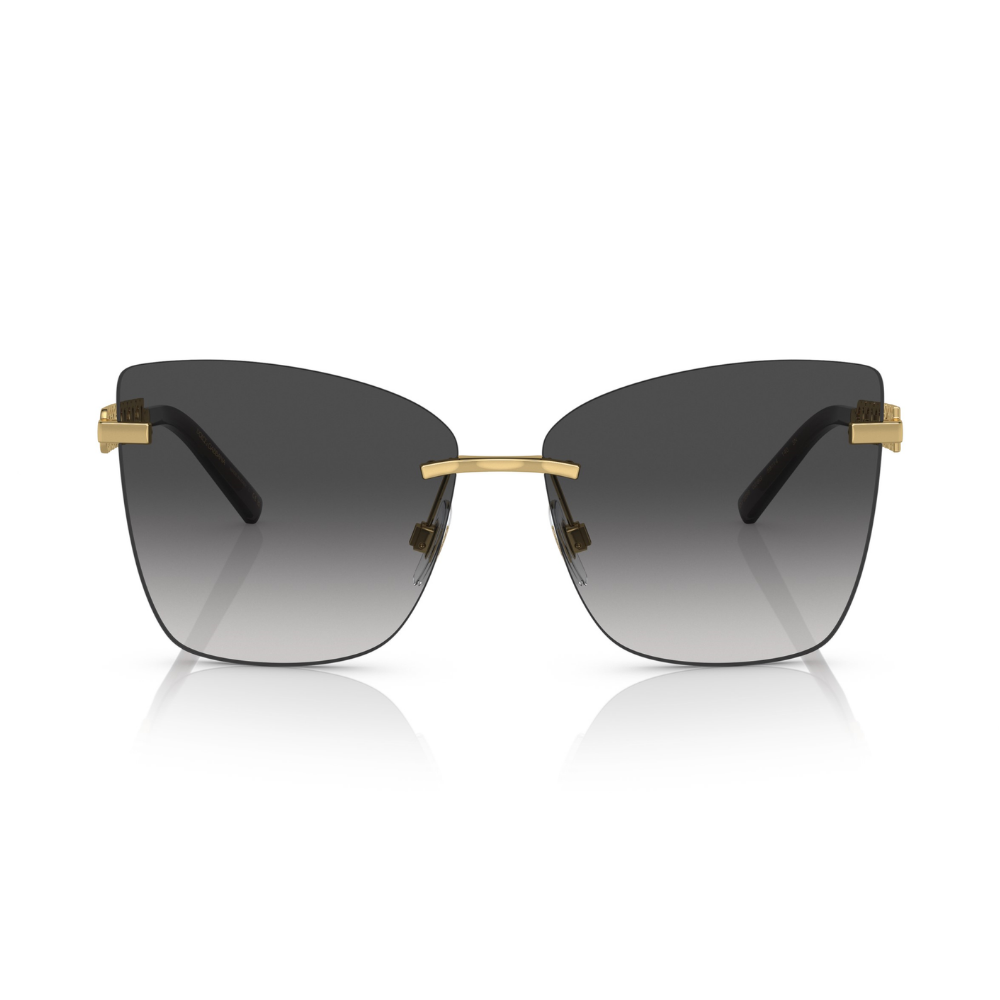 DOLCE & GABBANA DG 2289 02/8G 59