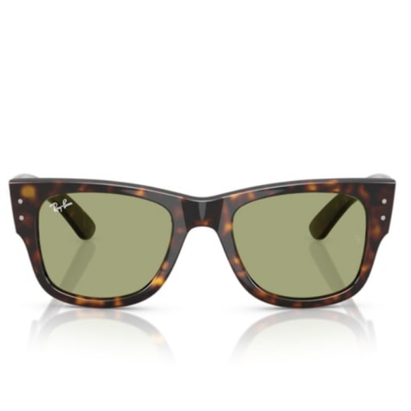 Ray-Ban 0RB0840S 51