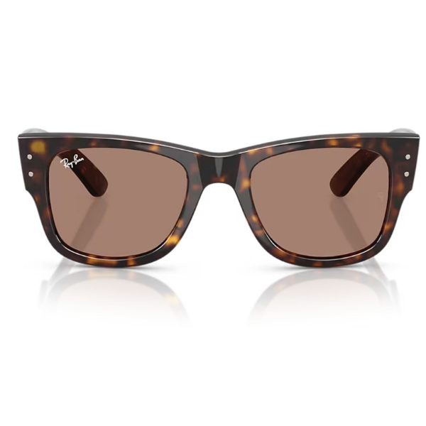 Ray-Ban 0RB0840S 902/1A 51