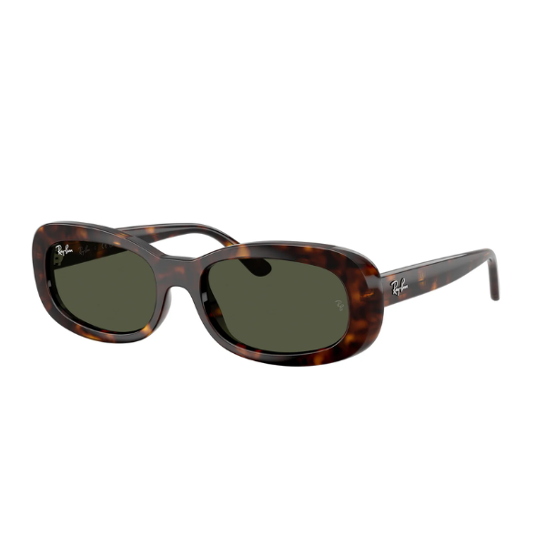 Ray-Ban 0RB2221 902/31 53