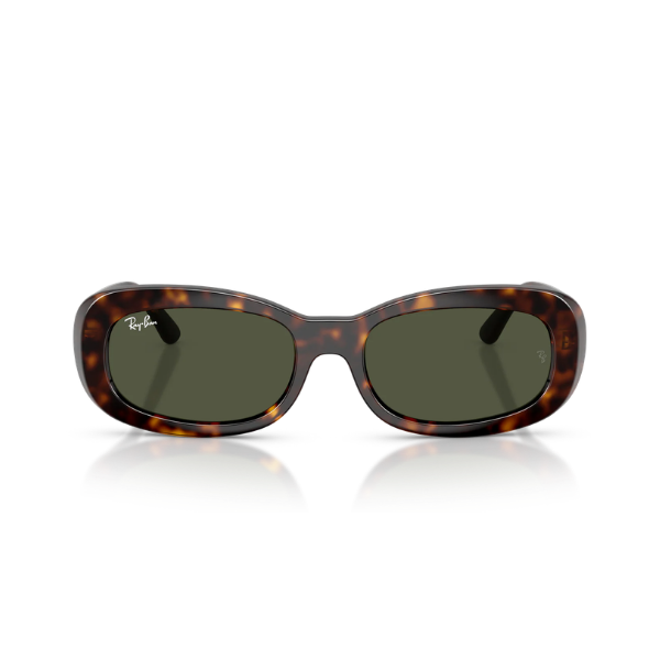 Ray-Ban 0RB2221 902/31 53