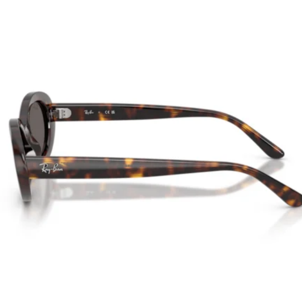 Ray-Ban 0RB2223 54
