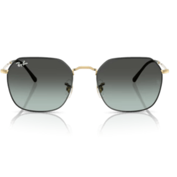 Ray-Ban 0RB3694 53