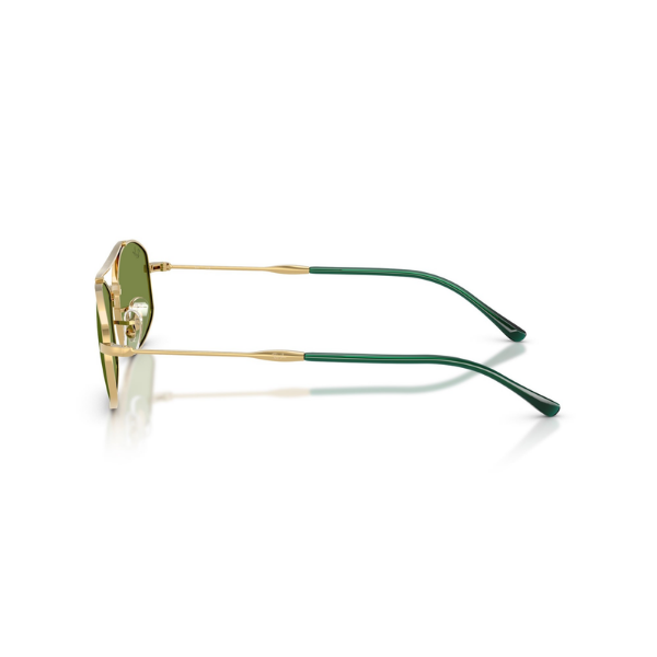 Ray-Ban 0RB3719 001/4E 54