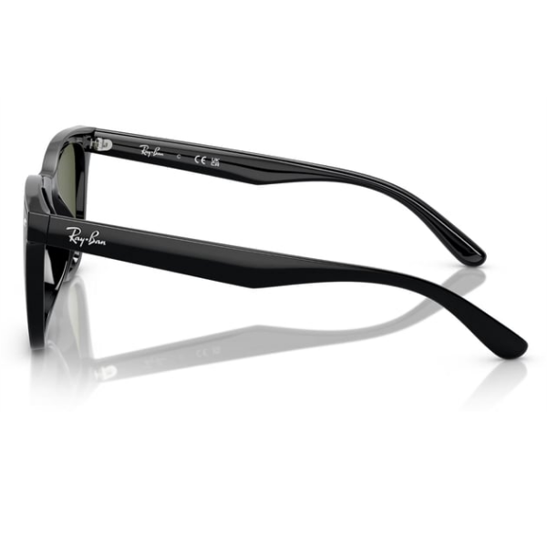 Ray-Ban 0RB4420 65