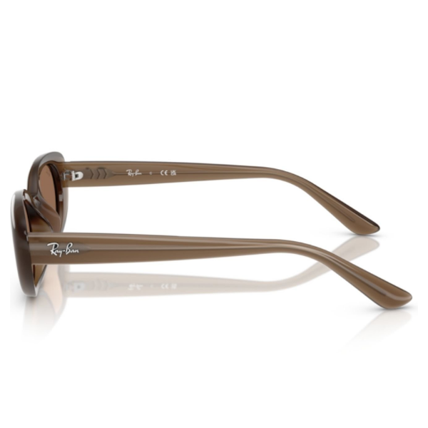 Ray-Ban 0RB4441D 677973 53