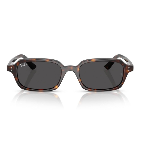 Ray-Ban 0RB4455 135987 49