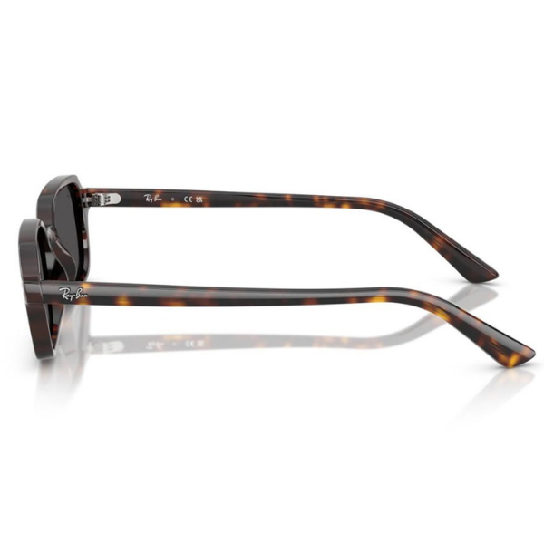 Ray-Ban 0RB4455 135987 49