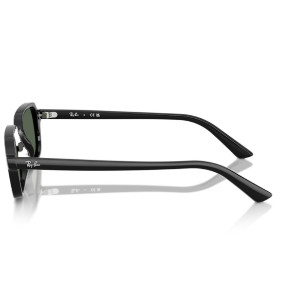 Ray-Ban 0RB4455 667771 49