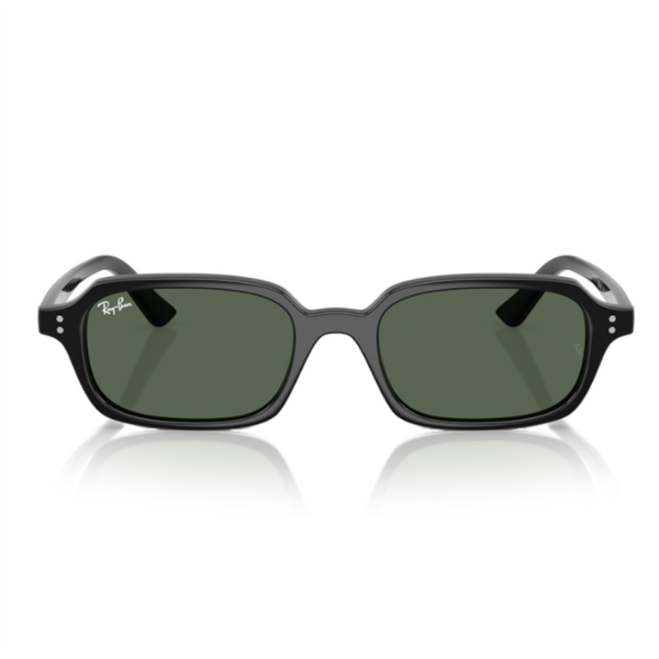Ray-Ban 0RB4455 667771 49