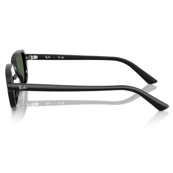 Ray-Ban 0RB4455 667771 52