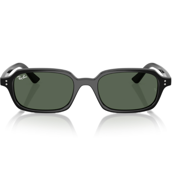 Ray-Ban 0RB4455 667771 52