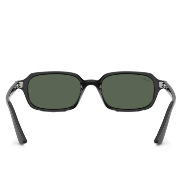 Ray-Ban 0RB4455 667771 52