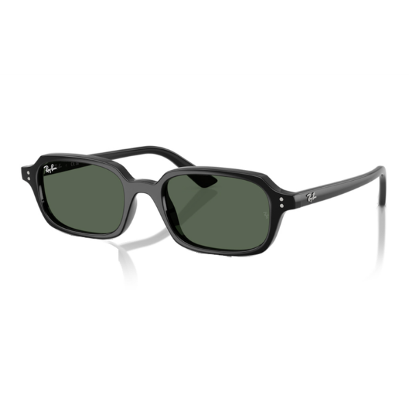 Ray-Ban 0RB4455 667771 52