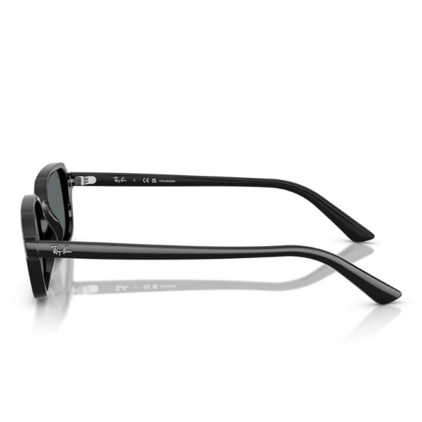 Ray-Ban 0RB4455 667781 49