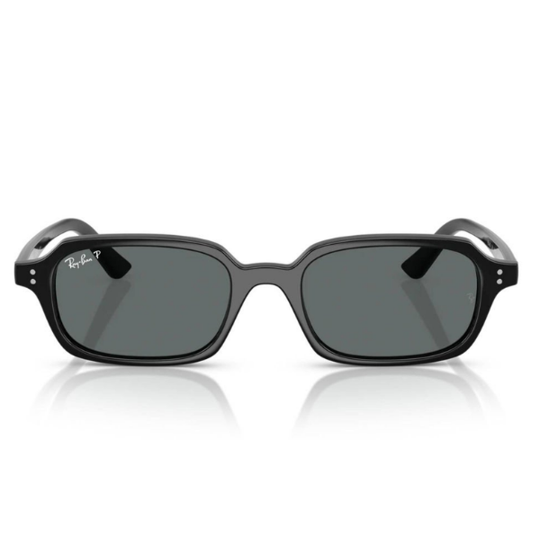 Ray-Ban 0RB4455 667781 49