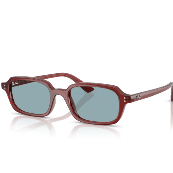 Ray-Ban 0RB4455 680980 49