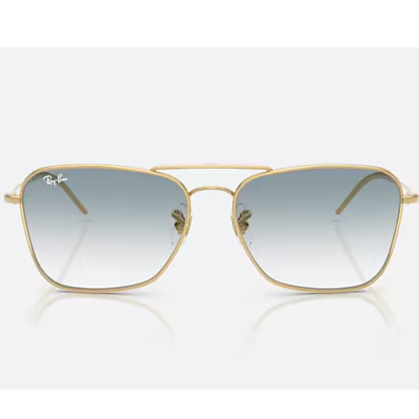 Ray-Ban 0RBR0102S 001/79 58