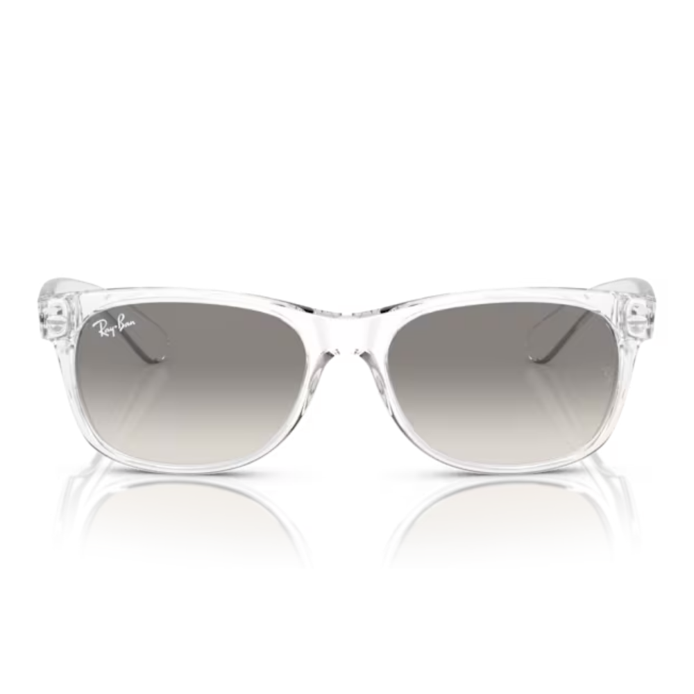 Ray-Ban RB 2132 NEW WAYFARER 6774/32 55