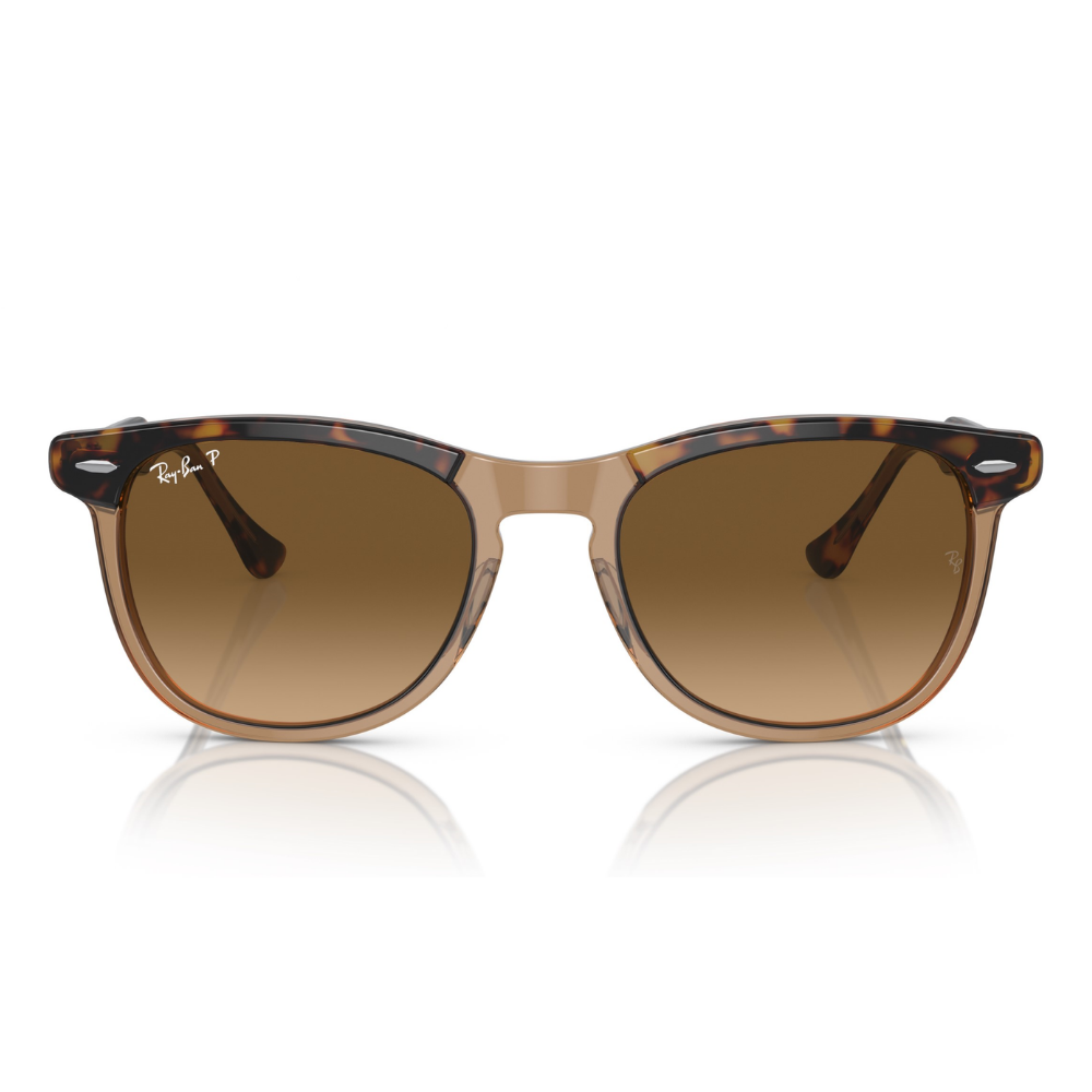Ray-Ban RB 2398 EAGLEEYE 1292/M2 53