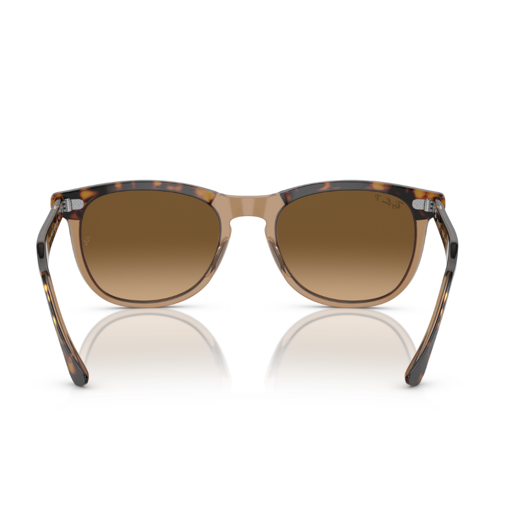 Ray-Ban RB 2398 EAGLEEYE 1292/M2 53