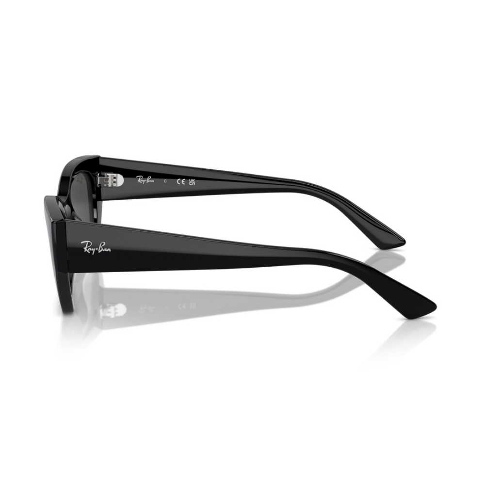 Ray-Ban RB 4430 6677/87 49