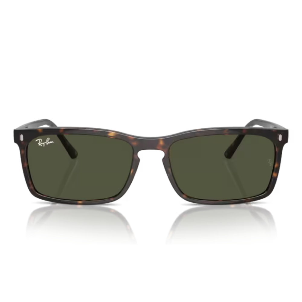 Ray-Ban RB 4435 902/31 56