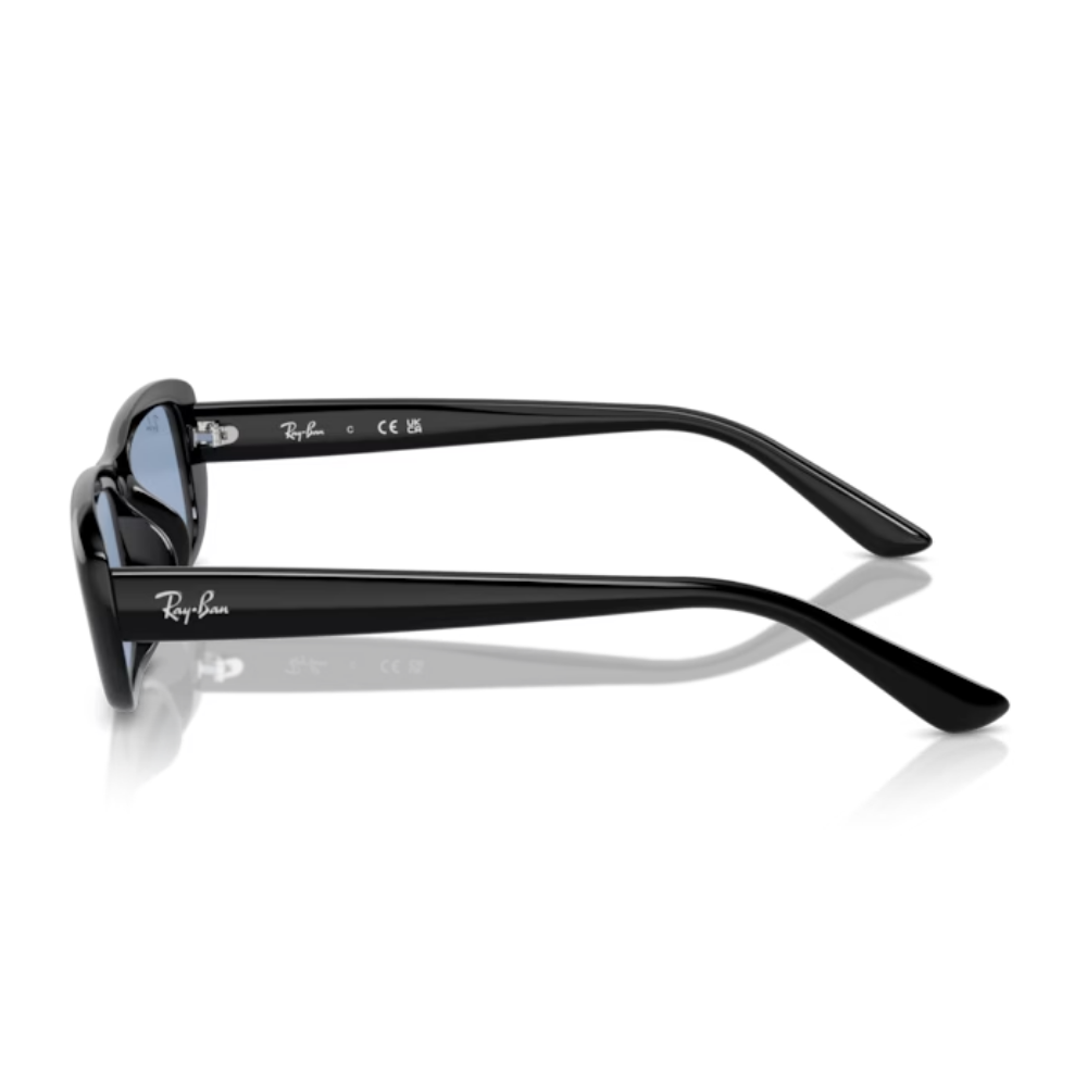 Ray-Ban RB 4436D 6677/72 55