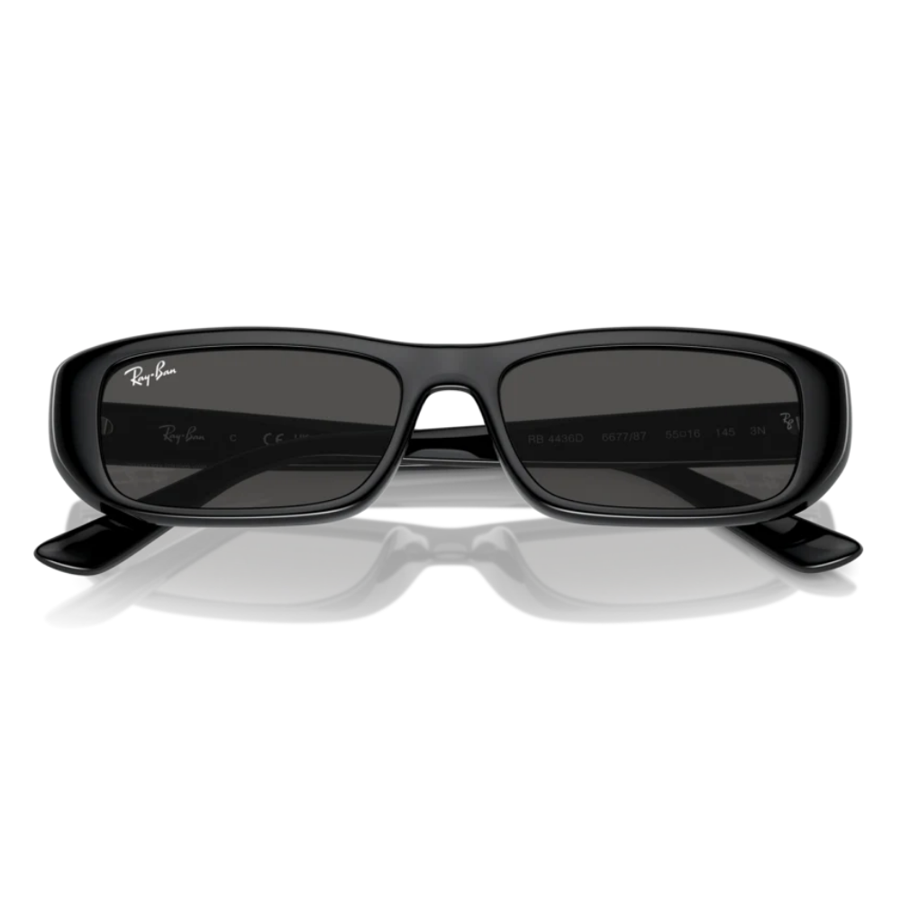 Ray-Ban RB 4436D 6677/87 55