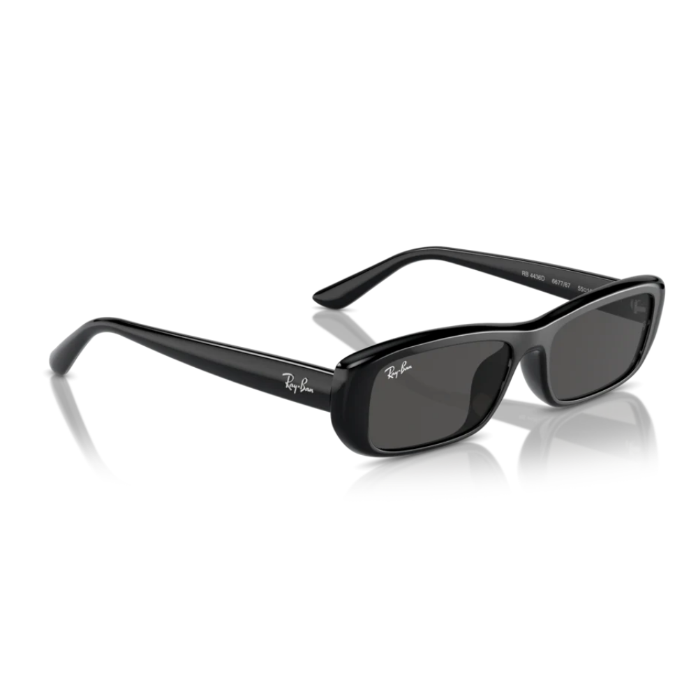 Ray-Ban RB 4436D 6677/87 55