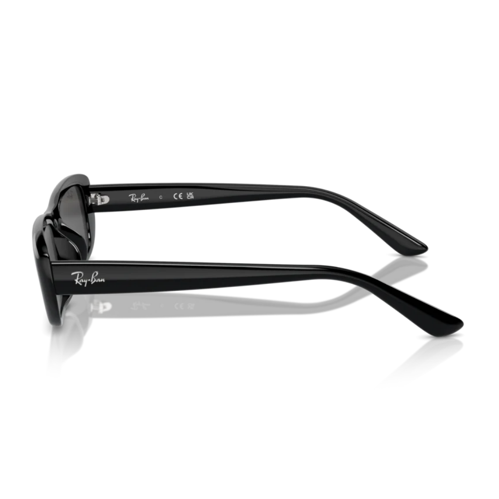 Ray-Ban RB 4436D 6677/87 55