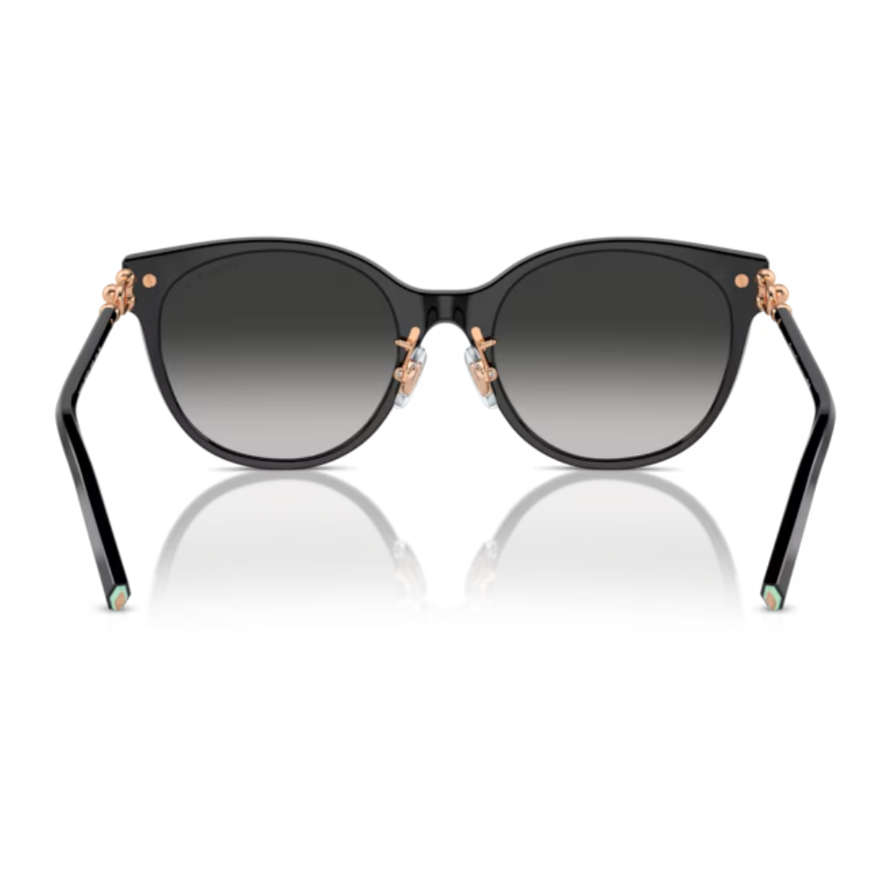 TIFFANY & CO. TF 4223-D 8001/3C 54
