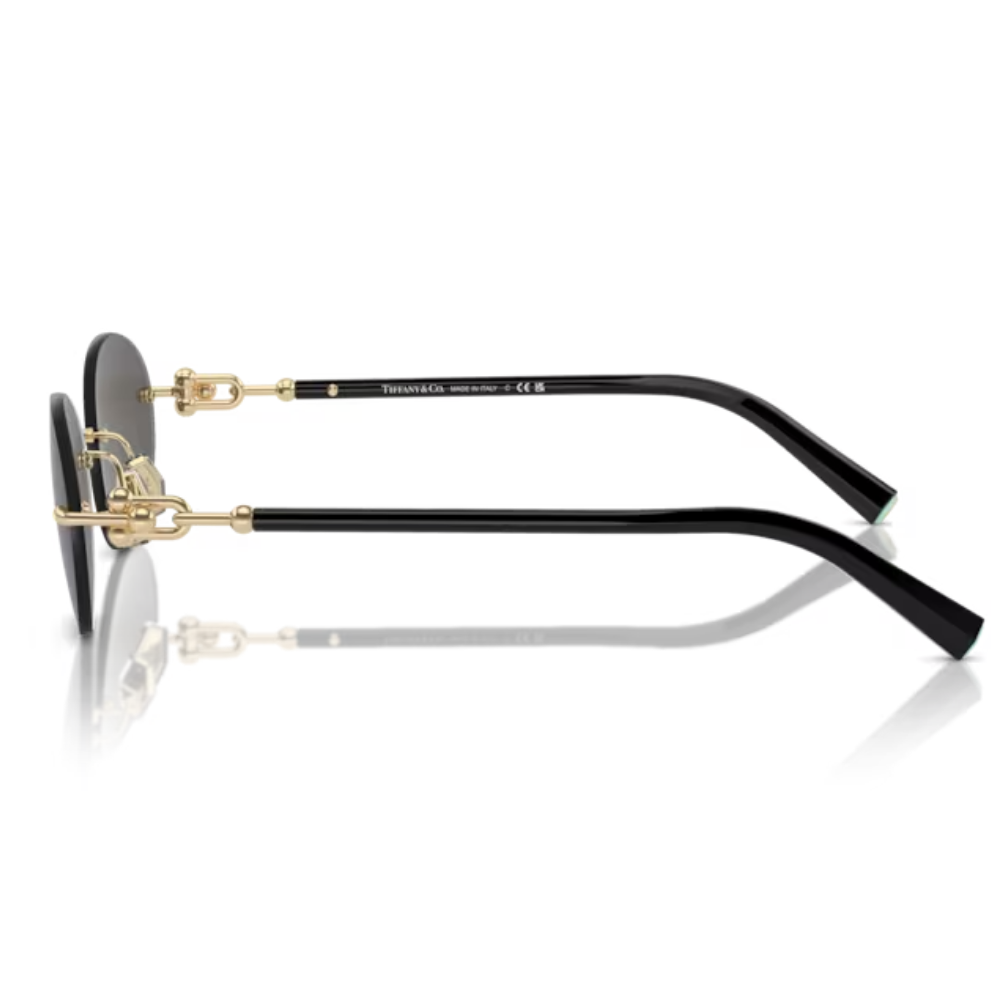 TIFFANY & CO. TF 3104-D 6216/S4 56