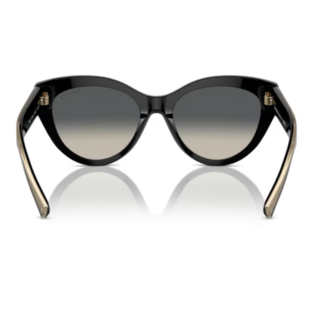 TIFFANY & CO. TF 4220 8001/71 54