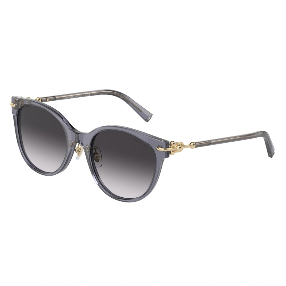 TIFFANY & CO. TF 4223-D 8405/3C 54