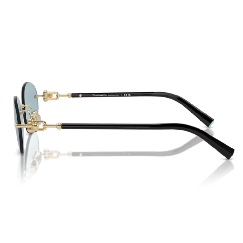 TIFFANY & CO. TF 3104-D 6021/80 56