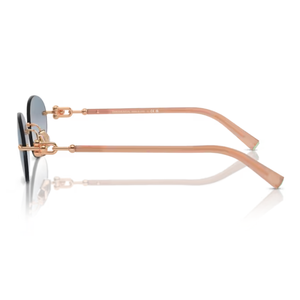 TIFFANY & CO. TF 3104-D 6217/16 56