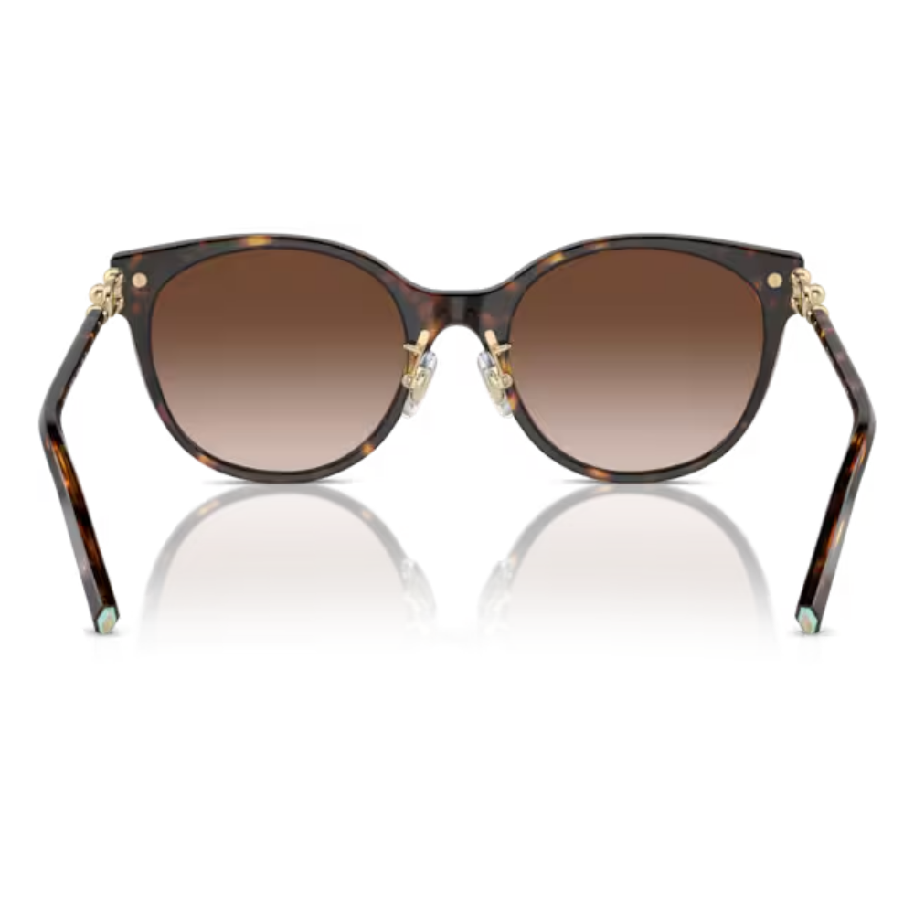 TIFFANY & CO. TF 4223-D 8015/3B 54