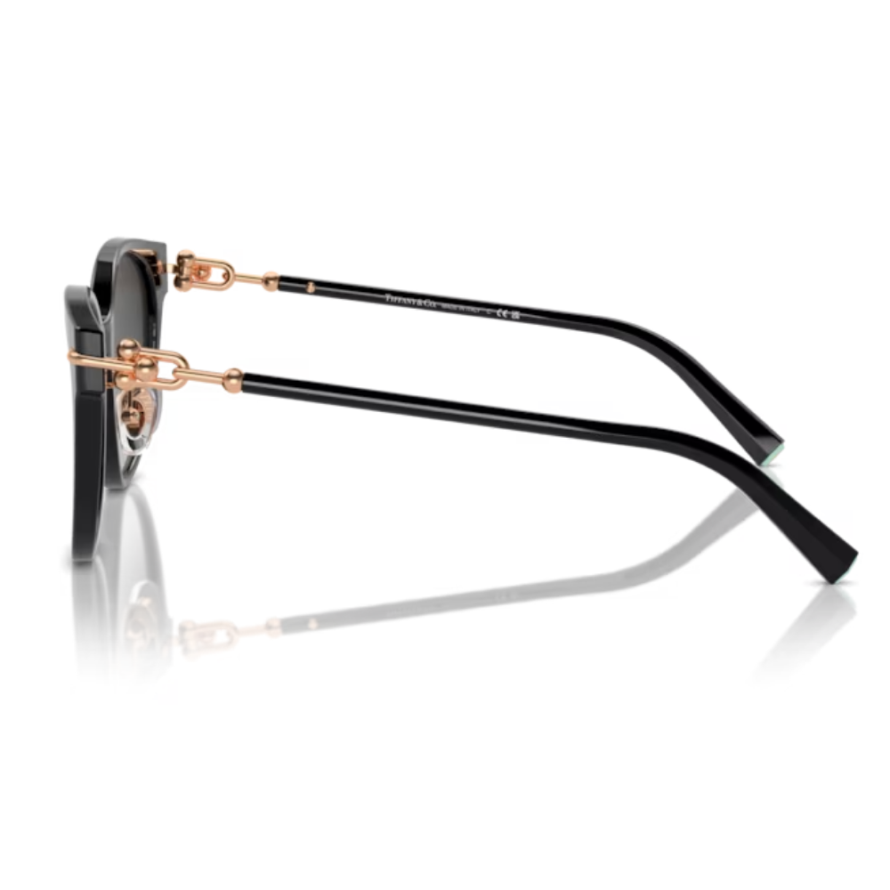 TIFFANY & CO. TF 4223-D 8001/3C 54