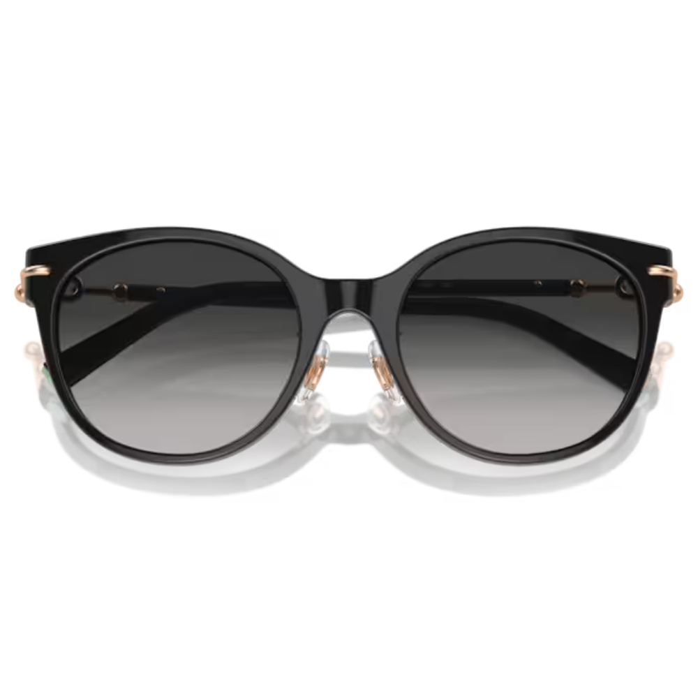 TIFFANY & CO. TF 4223-D 8001/3C 54