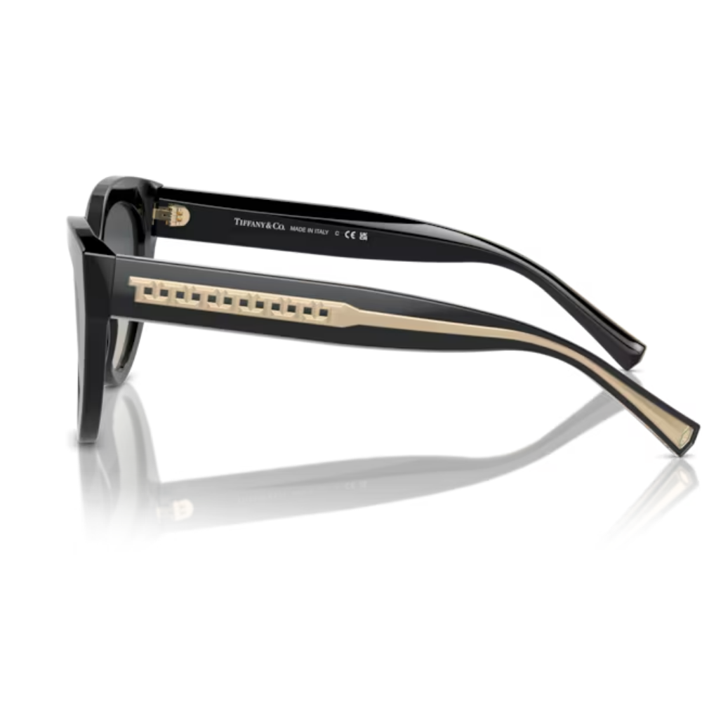 TIFFANY & CO. TF 4220 8001/71 54