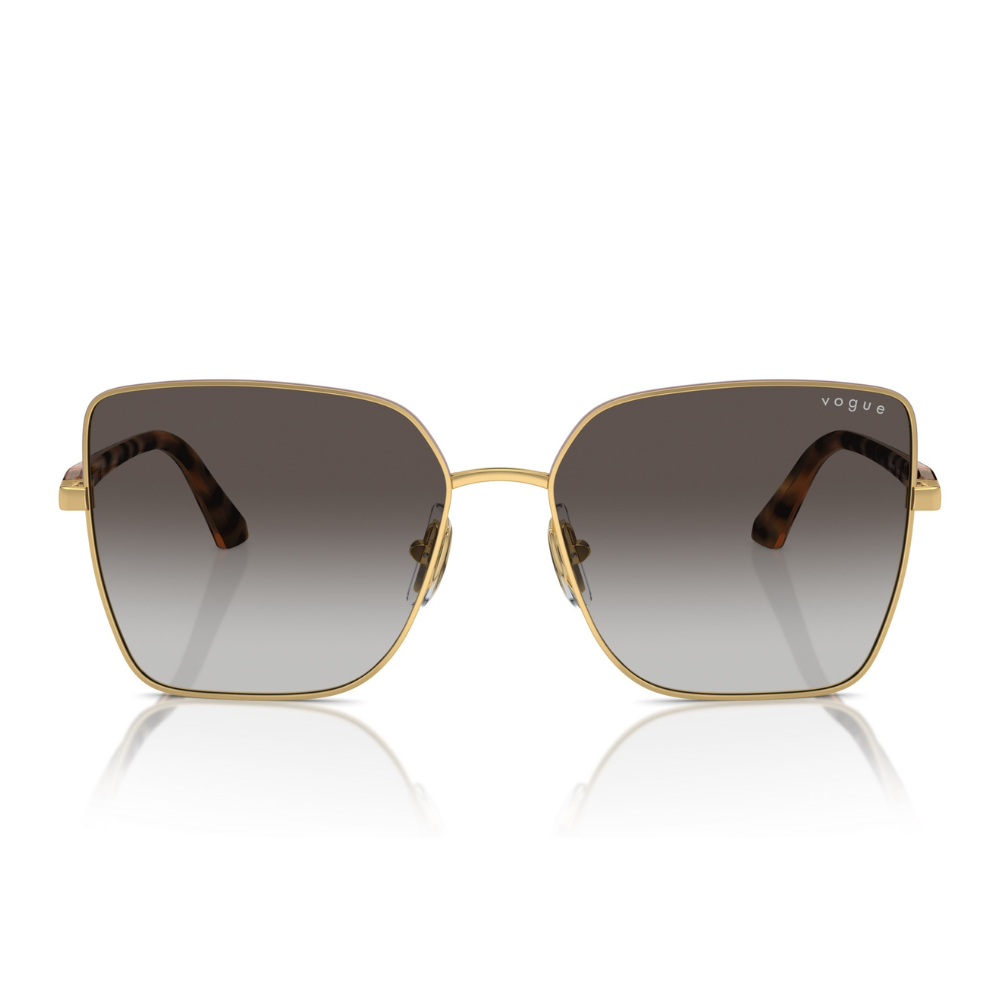 VOGUE VO 4199-S 51988G 58