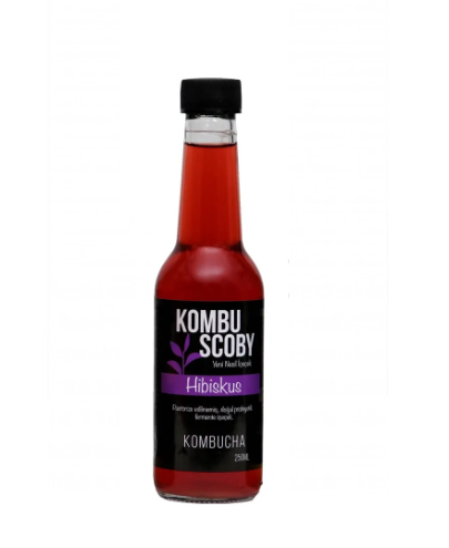 KOMBUSCOBY HİBİSKUSLU KOMBUCHA 250ML