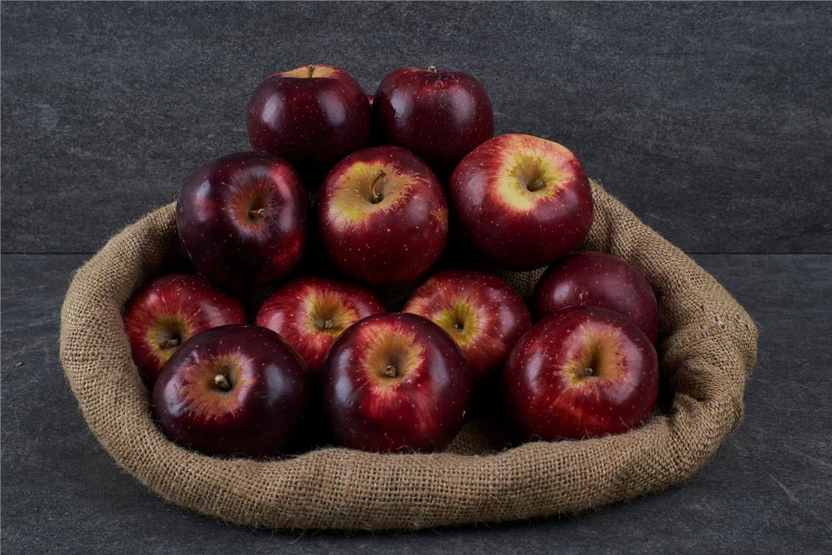 MNV.ELMA ARAPKIZI KG