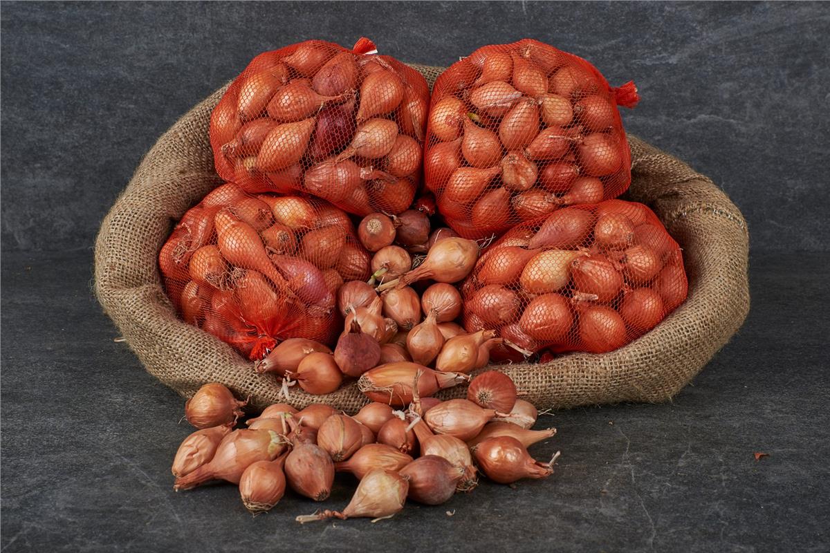 MNV.SOGAN ARPACIK 500GR