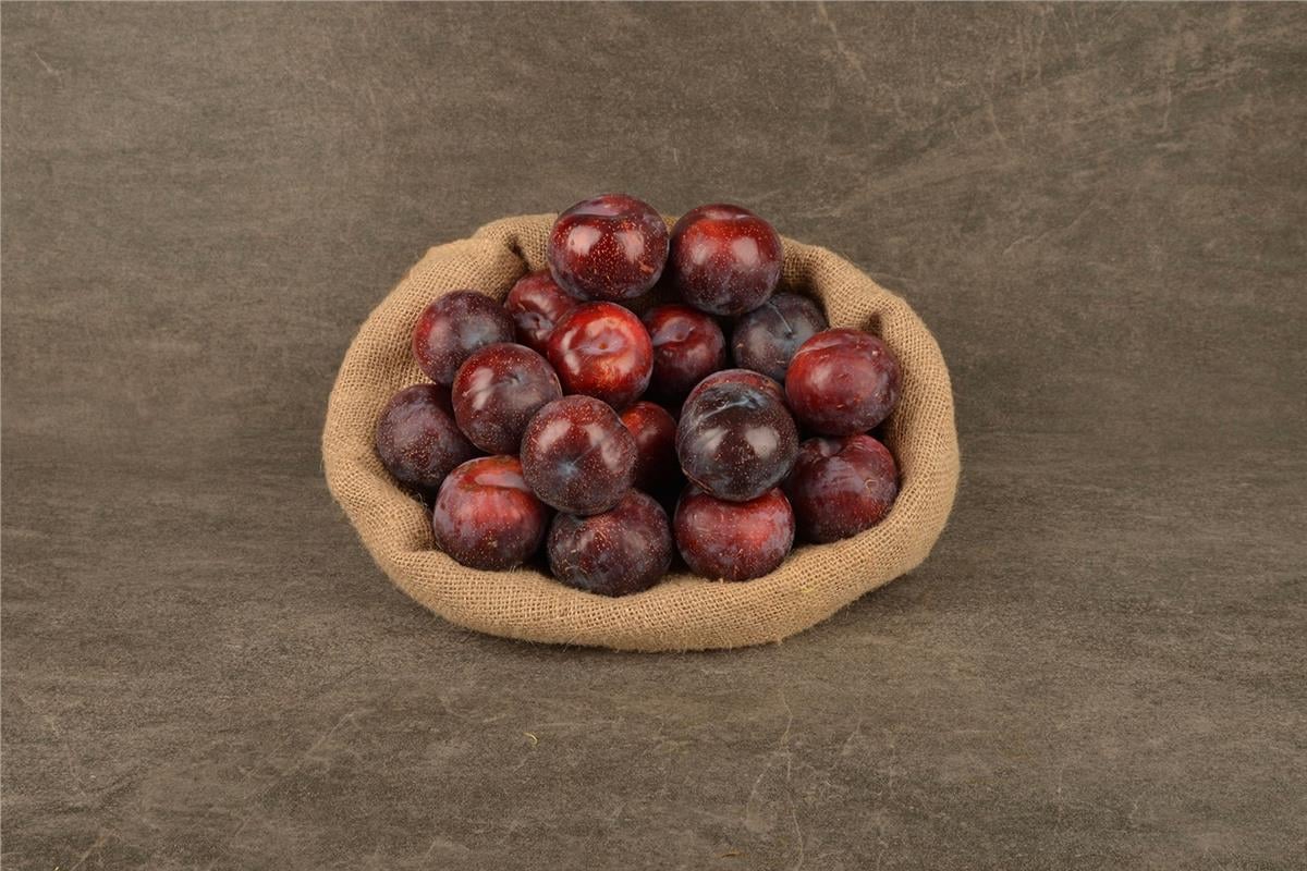 MNV.ERIK ANCELİCA KG