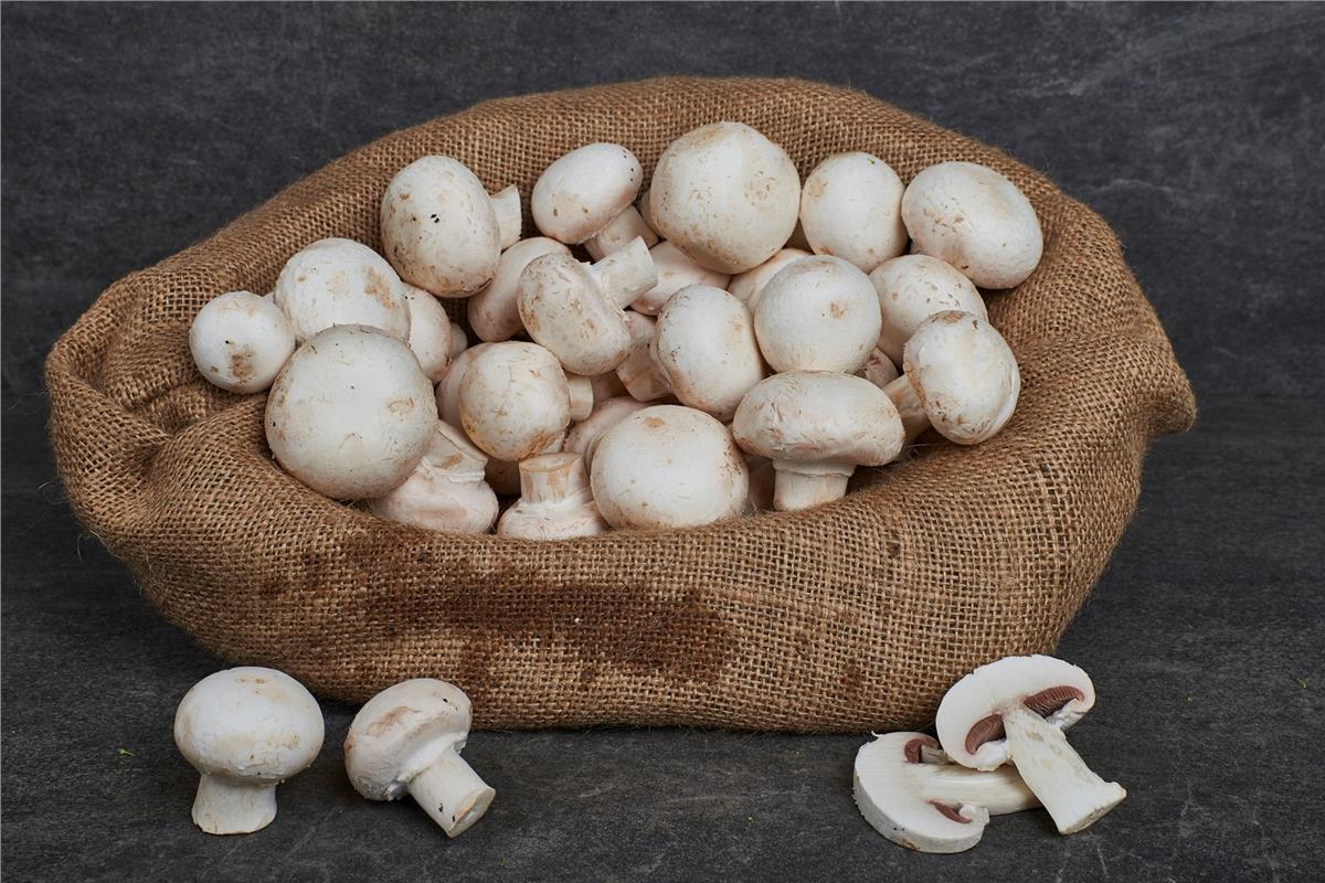 MNV.MANTAR KULTUR 400 GR PAKET