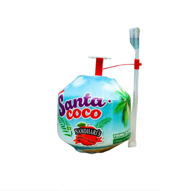 SANTA COCO AD